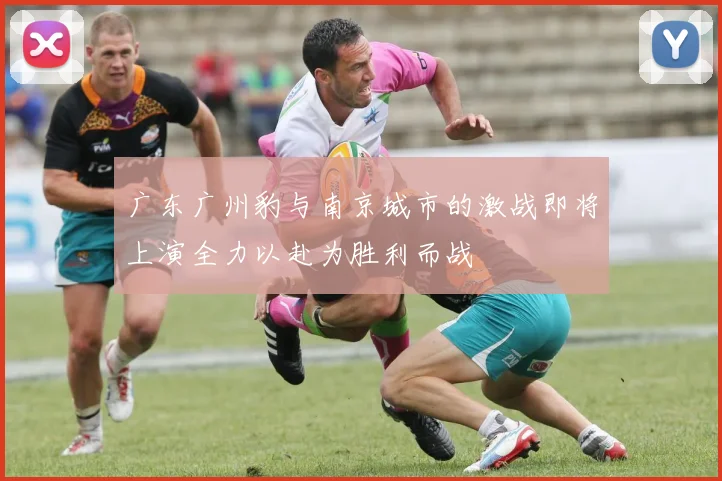 广东广州豹与南京城市的激战即将上演全力以赴为胜利而战