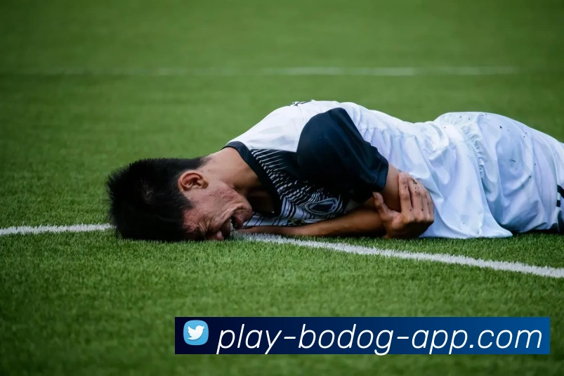 博狗娱乐发展历程