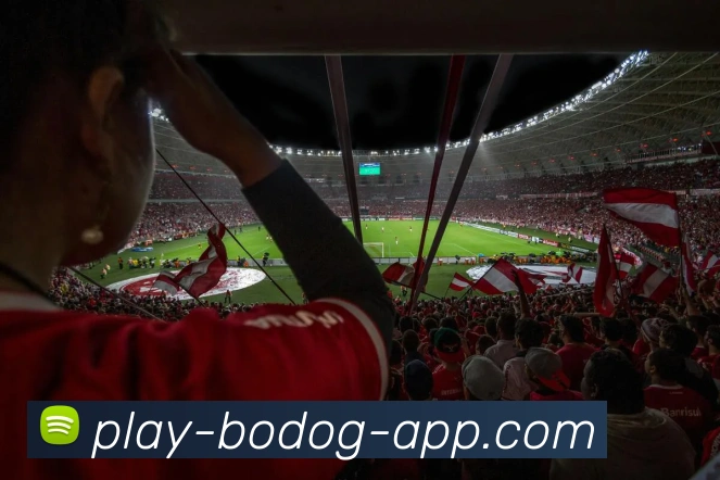 詹姆斯谈连场红牌问题称球队正逐步恢复到最佳状态